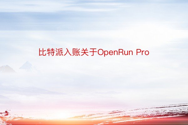 比特派入账关于OpenRun Pro