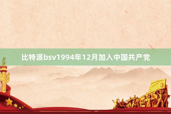 比特派bsv1994年12月加入中国共产党