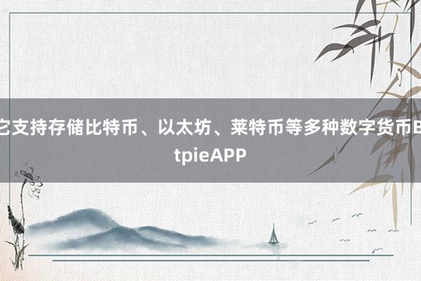 它支持存储比特币、以太坊、莱特币等多种数字货币BitpieAPP