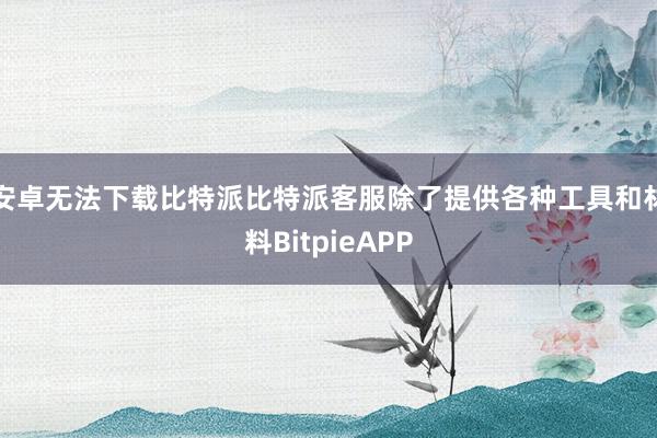 安卓无法下载比特派比特派客服除了提供各种工具和材料BitpieAPP