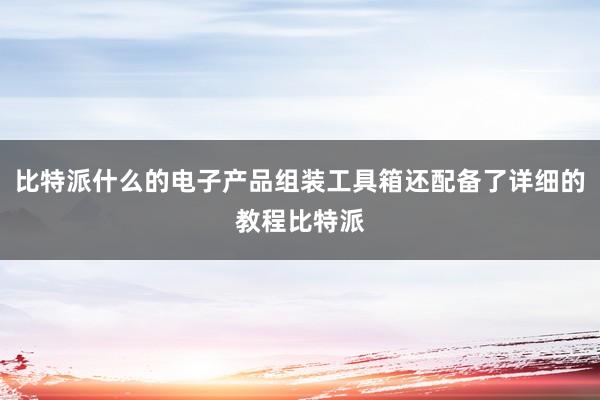 比特派什么的电子产品组装工具箱还配备了详细的教程比特派