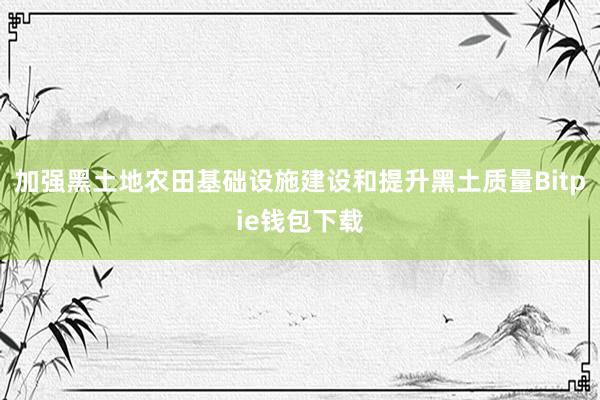 加强黑土地农田基础设施建设和提升黑土质量Bitpie钱包下载