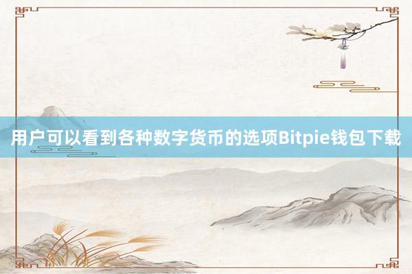 用户可以看到各种数字货币的选项Bitpie钱包下载