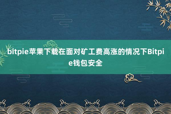 bitpie苹果下载在面对矿工费高涨的情况下Bitpie钱包安全