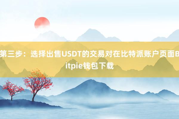 第三步：选择出售USDT的交易对在比特派账户页面Bitpie钱包下载