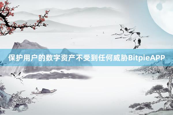 保护用户的数字资产不受到任何威胁BitpieAPP