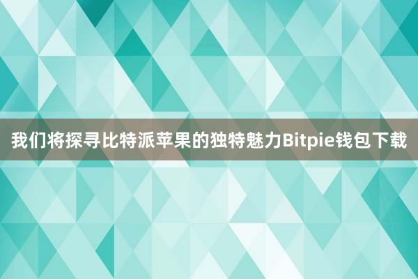 我们将探寻比特派苹果的独特魅力Bitpie钱包下载