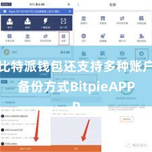 比特派钱包还支持多种账户备份方式BitpieAPP