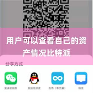 用户可以查看自己的资产情况比特派